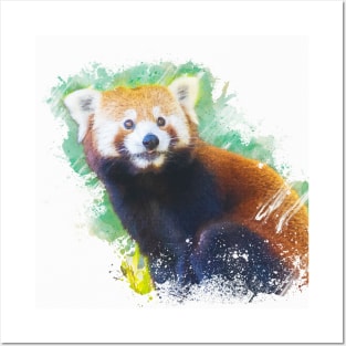 Red Panda Animal Wildlife Forest Nature Adventure Bamboo Graphic Digital Painting Posters and Art